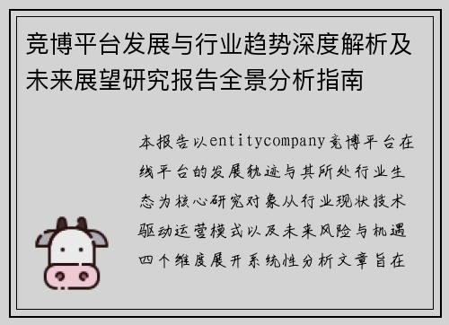 竞博平台发展与行业趋势深度解析及未来展望研究报告全景分析指南