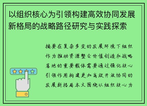 以组织核心为引领构建高效协同发展新格局的战略路径研究与实践探索